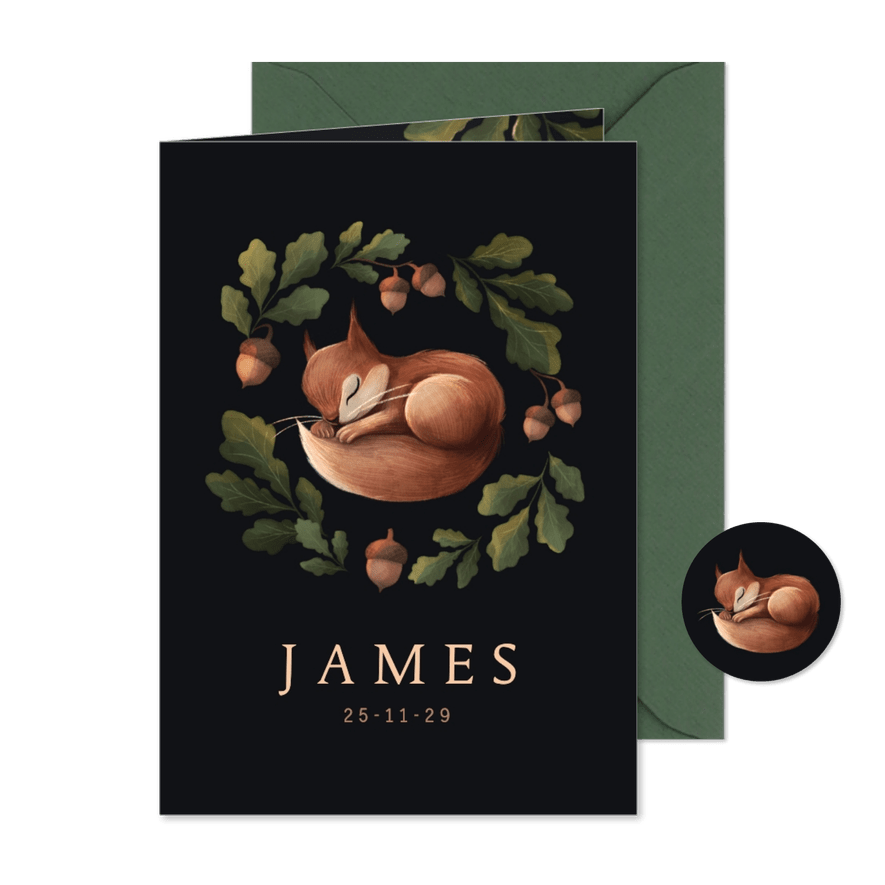 Geboortekaartje slapend eekhoorntje in herfstbladeren blauw - Kaartimpressie