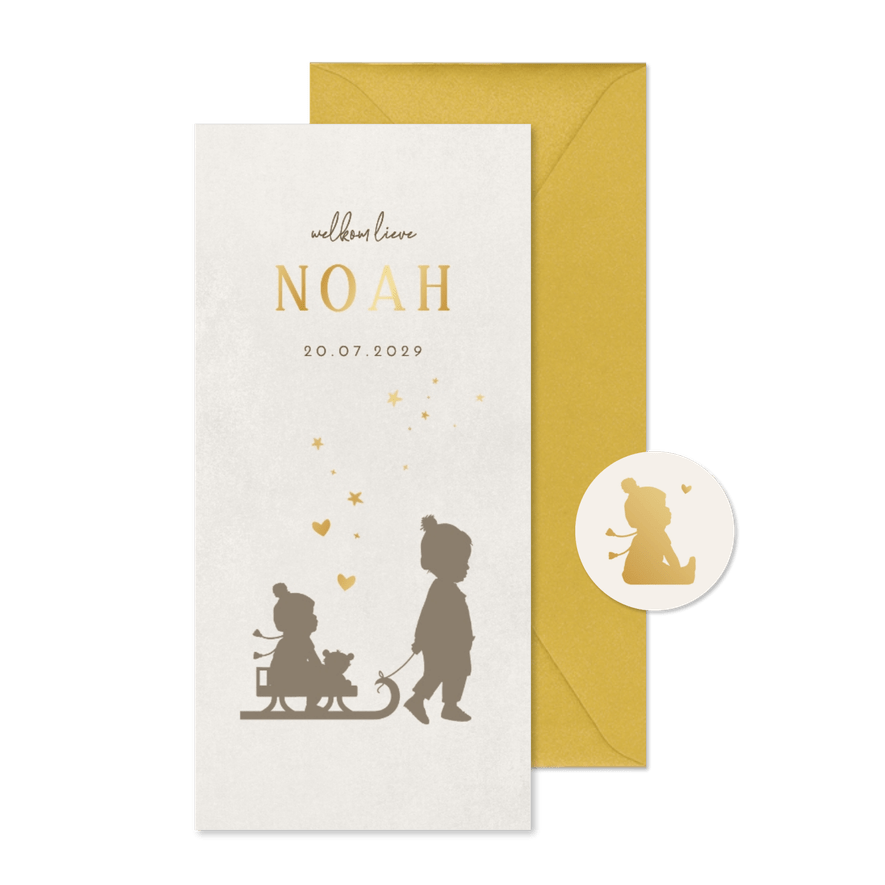 Geboortekaartje slee broertje av - Kaartimpressie