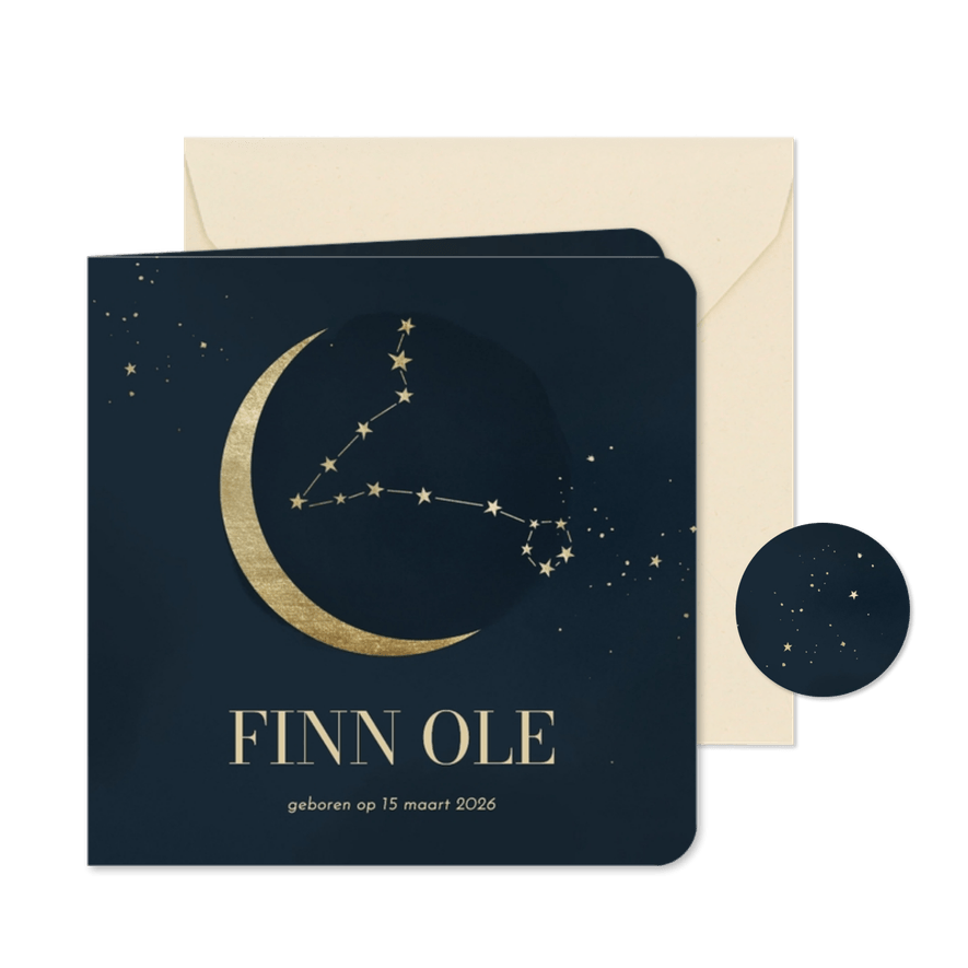 Geboortekaartje sterrenbeeld blauw vissen met maan sterren - Kaartimpressie