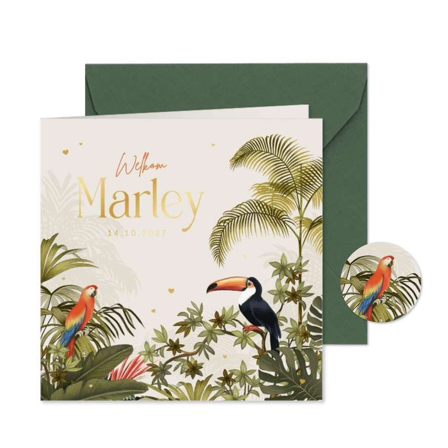 Geboortekaartje toekan jungle vogels papegaai hartjes - Kaartimpressie
