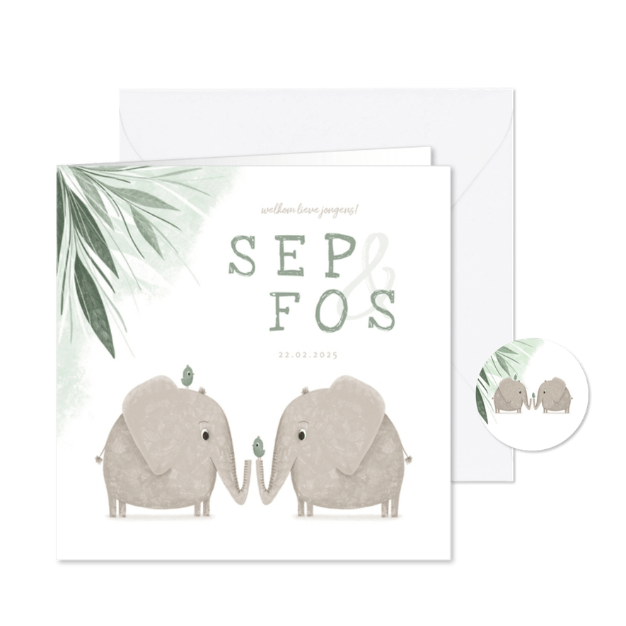 Geboortekaartje tweeling jongens met olifantjes en vogels - Kaartimpressie