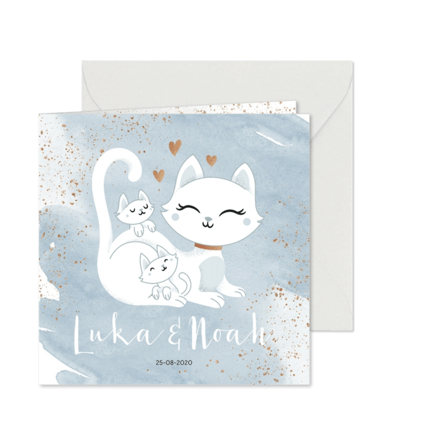 Geboortekaartje tweeling jongens poesje kat kitten waterverf - Kaartimpressie