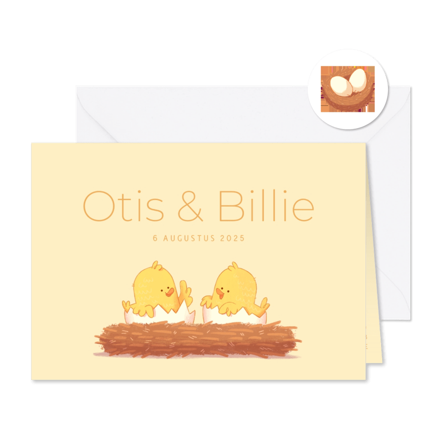Geboortekaartje tweeling kuikentjes aanpasbare achtergrond - Kaartimpressie
