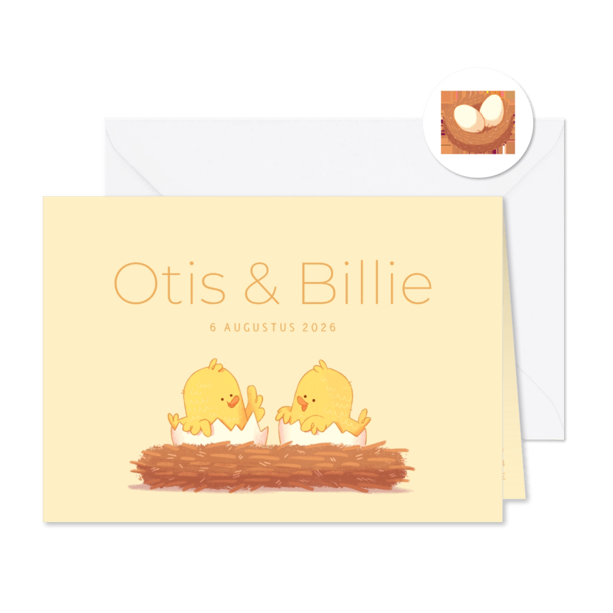 Geboortekaartje tweeling kuikentjes aanpasbare achtergrond - Kaartimpressie