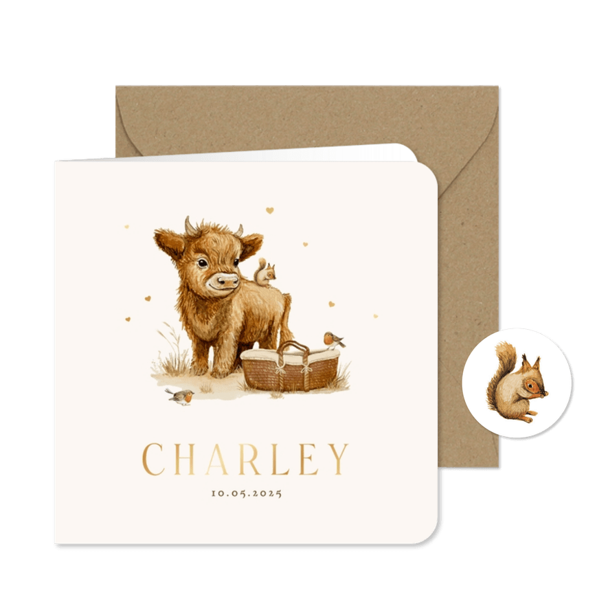 Geboortekaartje unisex dieren mozesmand waterverf schattig - Kaartimpressie