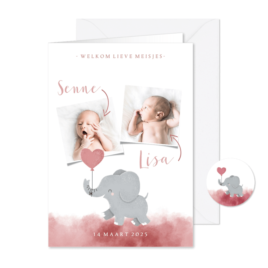 Geboortekaartje voor een tweeling met olifantje met ballon - Kaartimpressie