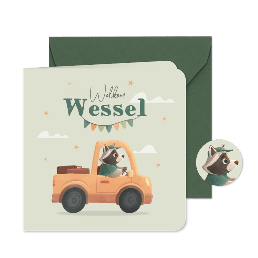 Geboortekaartje wasbeer auto stoer lief slinger wolken ster - Kaartimpressie
