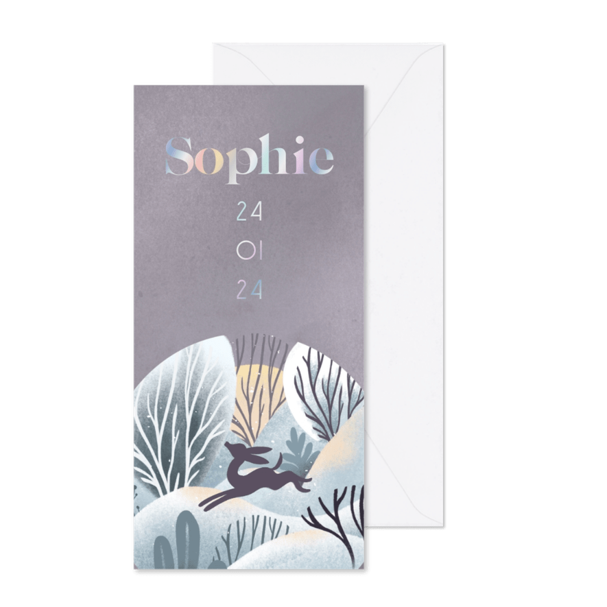 Geboortekaartje winter geluk - Kaartimpressie