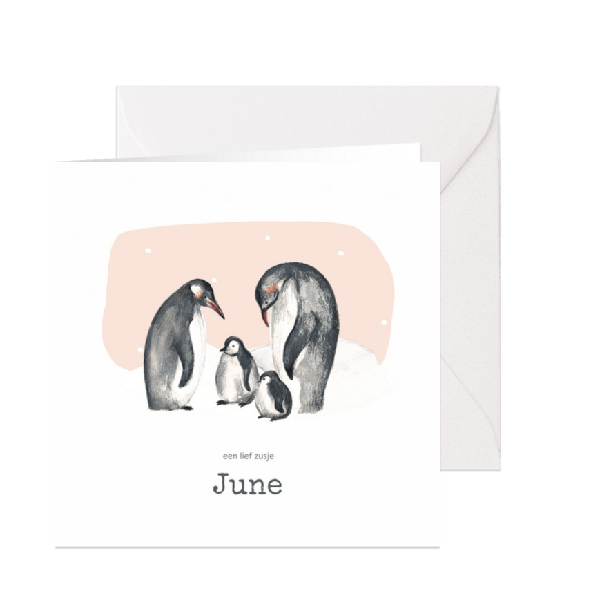 Geboortekaartje winter pinguins tweede kindje - Kaartimpressie