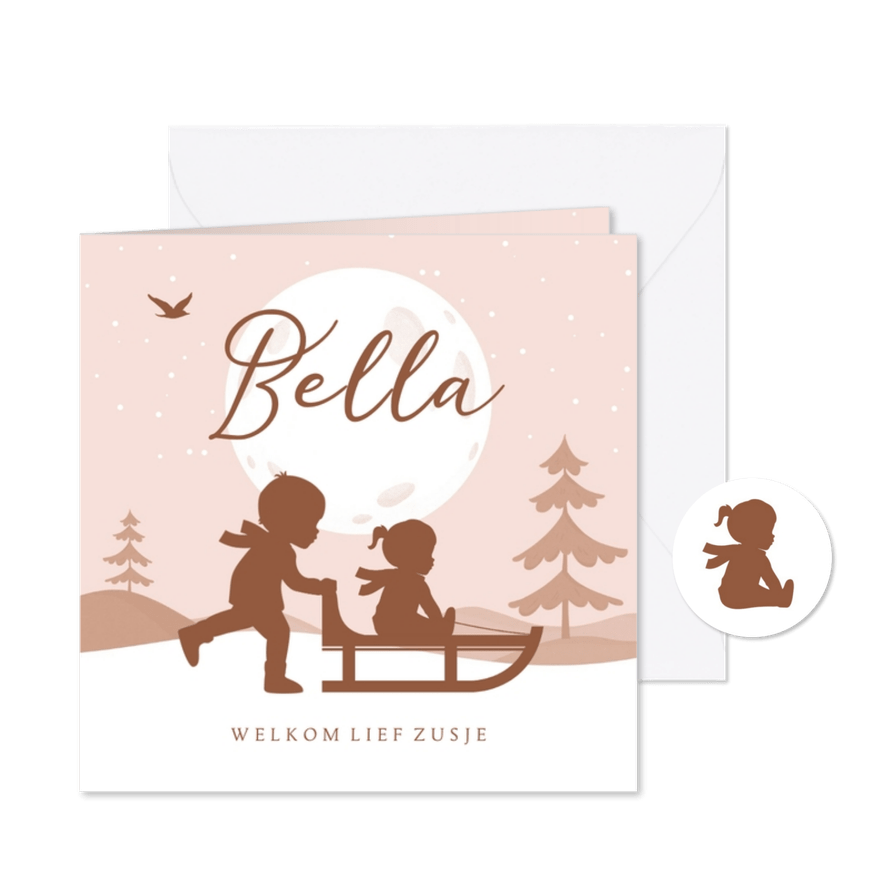Geboortekaartje zusje broer winter slee sneeuw silhouet maan - Kaartimpressie