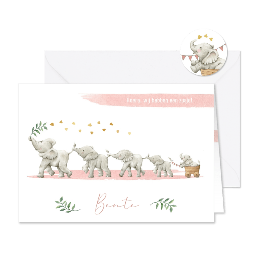 Geboortekaartje zusje vijf olifantjes op een rij - Kaartimpressie