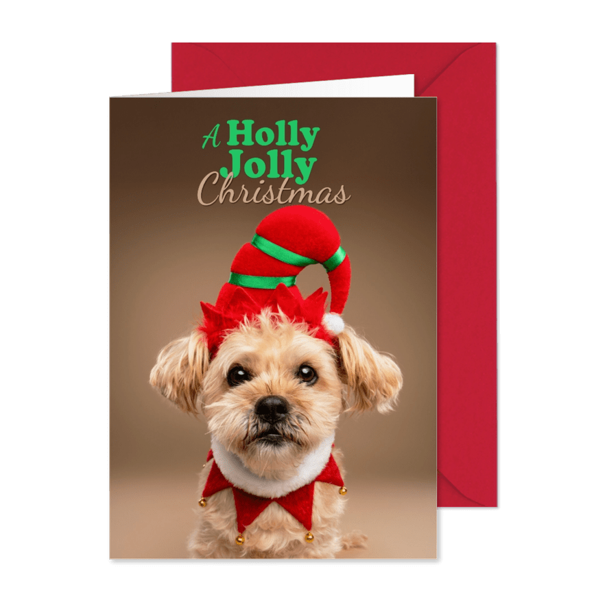 Grappige kerstkaart holly jolly christmas met boomer - Kaartimpressie