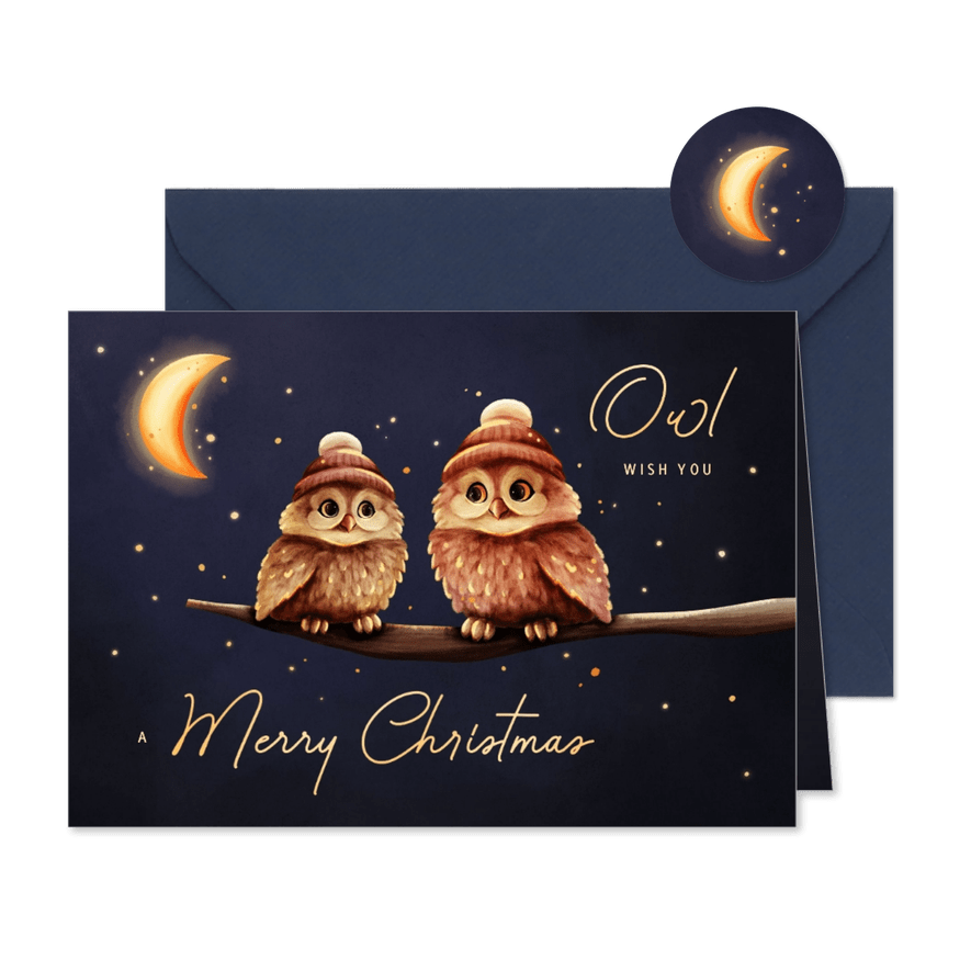 Grappige kerstkaart owl wish you uiltjes met maan - Kaartimpressie