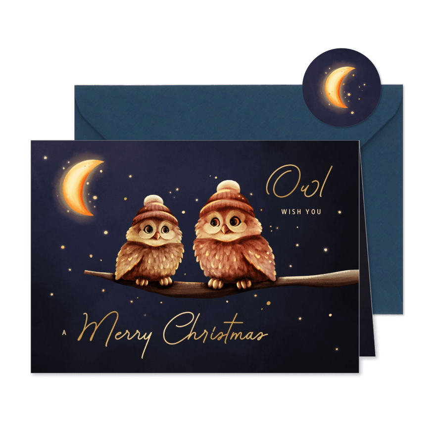 Grappige kerstkaart owl wish you uiltjes met maan - Kaartimpressie