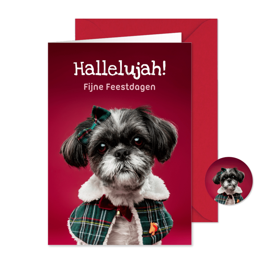 Grappige kerstkaart van boomer hondje met kerstkleding - Kaartimpressie