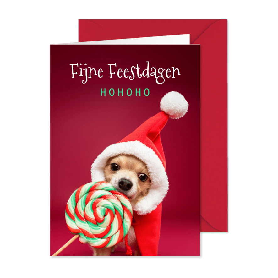 Grappige kerstkaart van hond met kerstmuts en lolly - Kaartimpressie