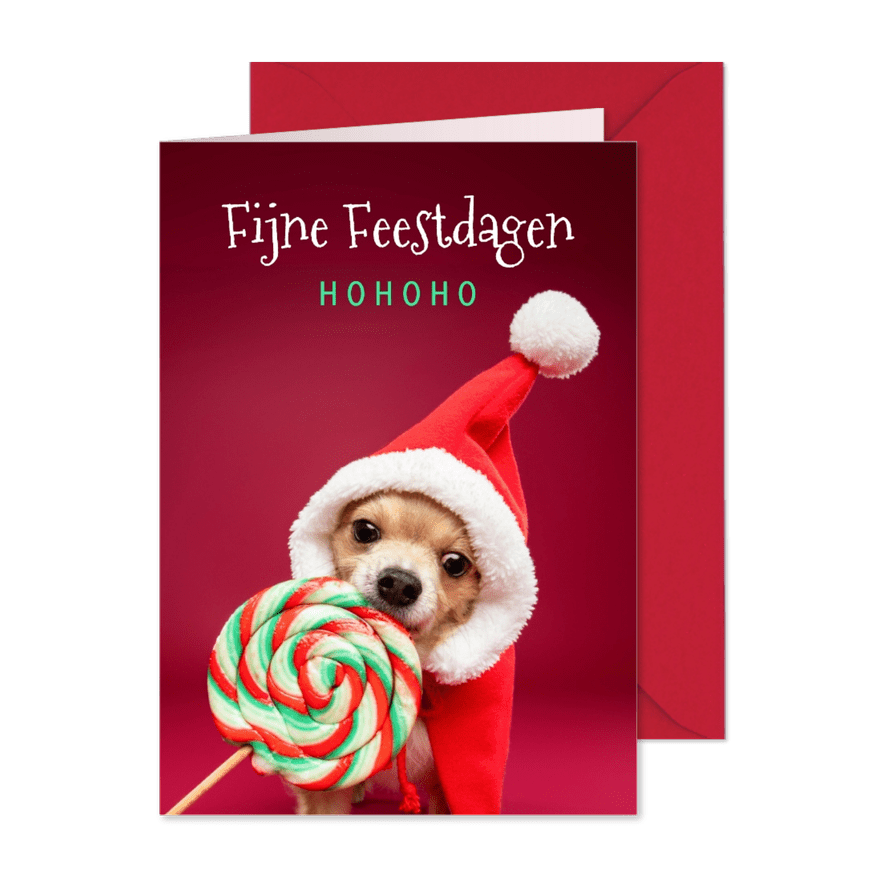 Grappige kerstkaart van hond met kerstmuts en lolly - Kaartimpressie