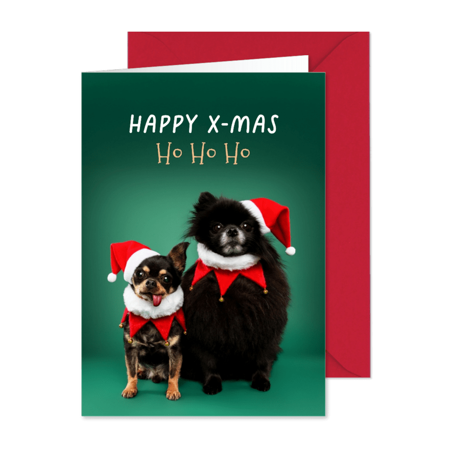 Grappige kerstkaart van hondjes met kerstmuts op - Kaartimpressie