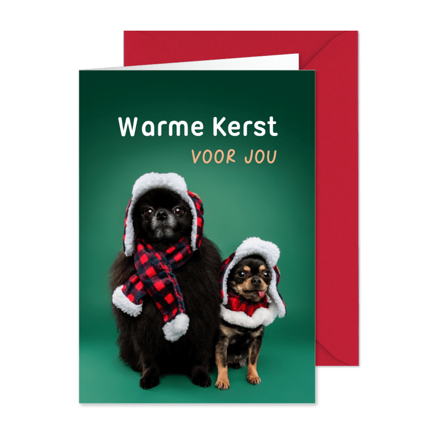 Grappige kerstkaart van hondjes met warme kerstkleding - Kaartimpressie