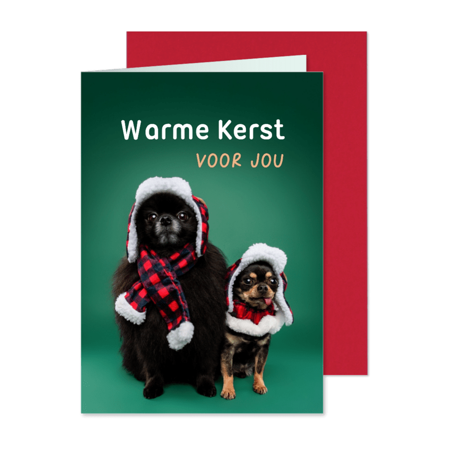 Grappige kerstkaart van hondjes met warme kerstkleding - Kaartimpressie