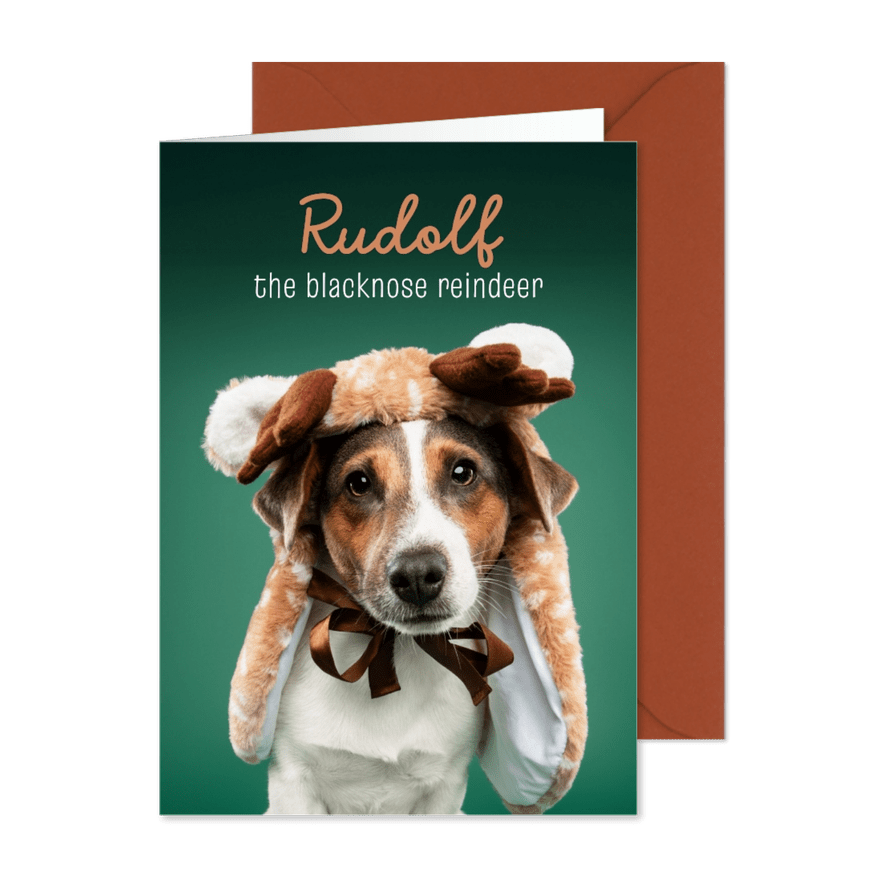 Grappige kerstkaart van jack russel met rendierpakje - Kaartimpressie