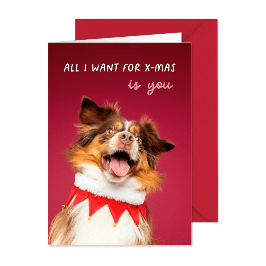 Grappige kerstkaart van vrolijk springende hond - Kaartimpressie