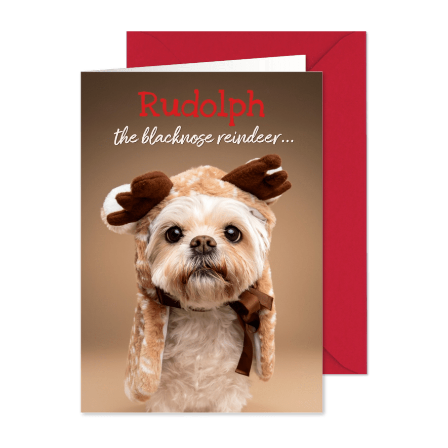 Grappige kerstkaart van wit boomer hondje met rendier pakje - Kaartimpressie