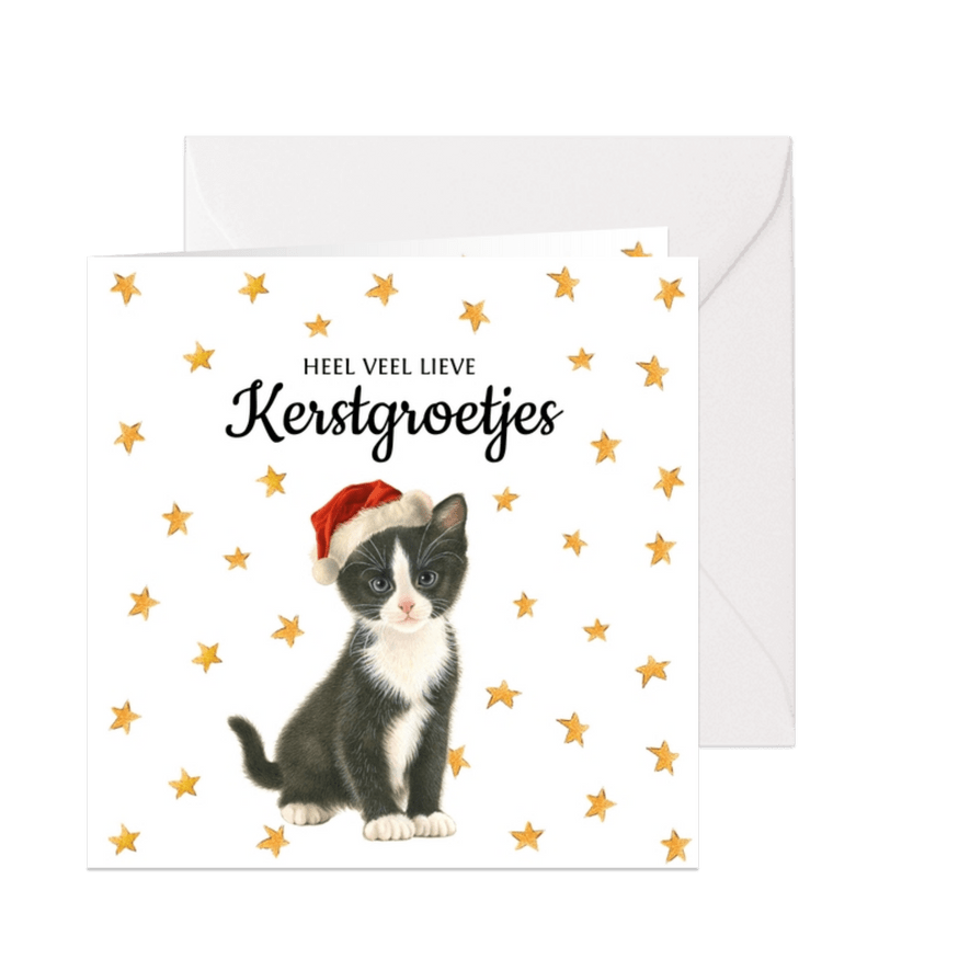 Heel veel kerststerretjes en en lief kerstpoesje - Kaartimpressie