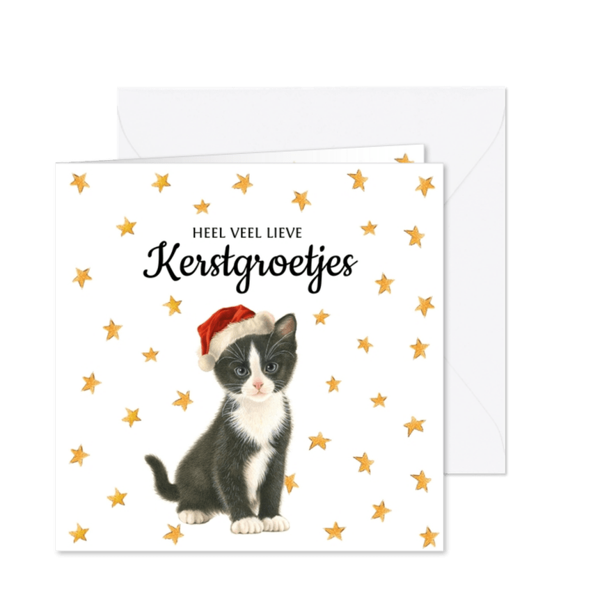 Heel veel kerststerretjes en en lief kerstpoesje - Kaartimpressie