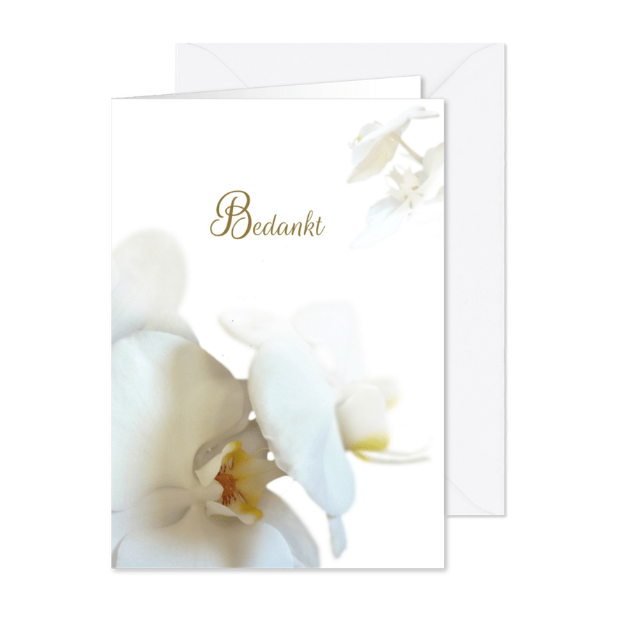 Hemels witte bedankt orchidee - Kaartimpressie