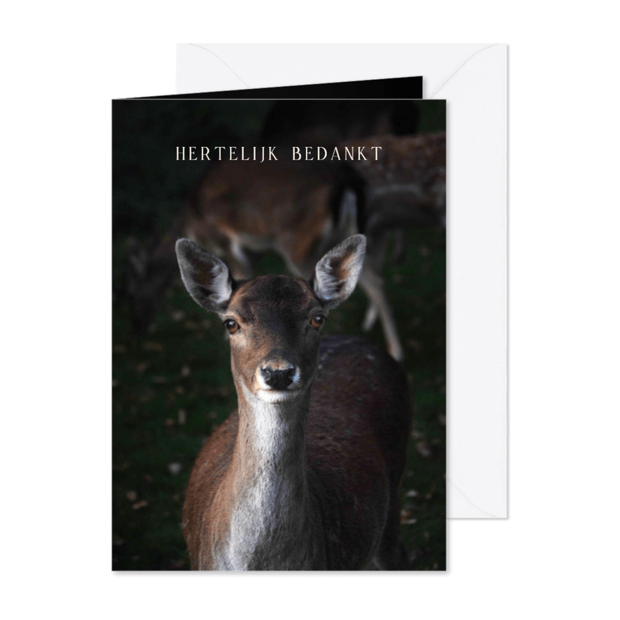 hertelijk bedankt - Kaartimpressie