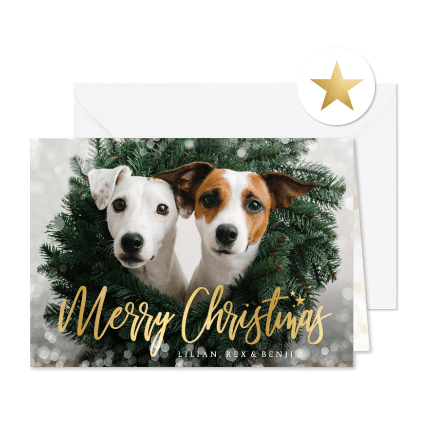 Hippe kerstkaart met grote eigen dieren foto en sneeuwkader  - Kaartimpressie