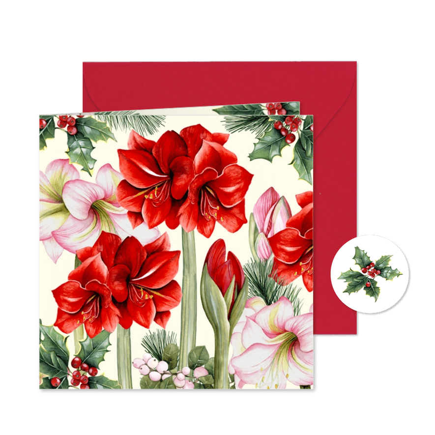 Kerst amaryllis bloem en knop - Kaartimpressie