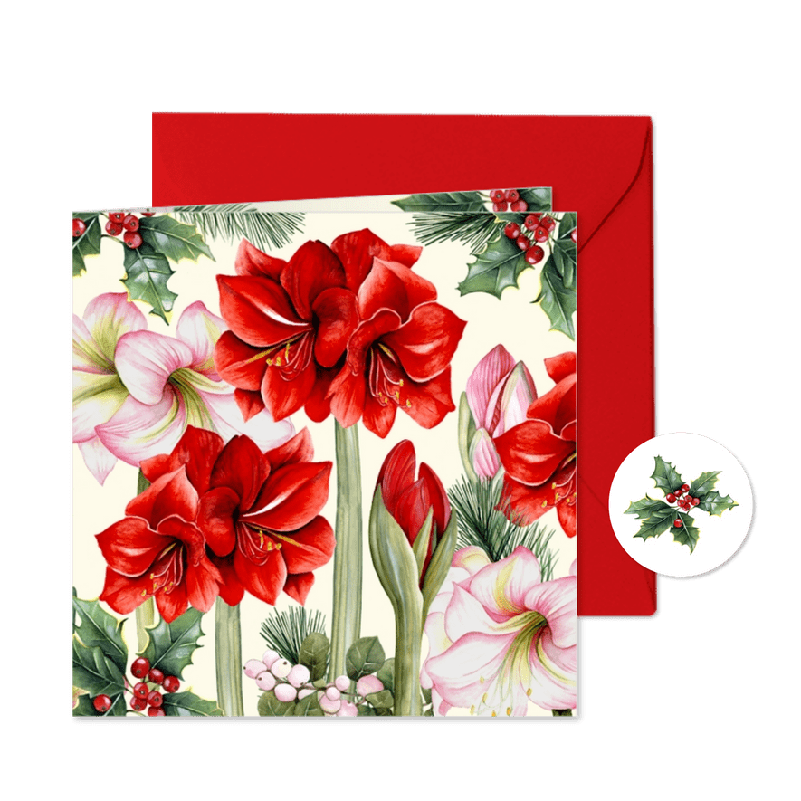 Kerst amaryllis bloem en knop - Kaartimpressie