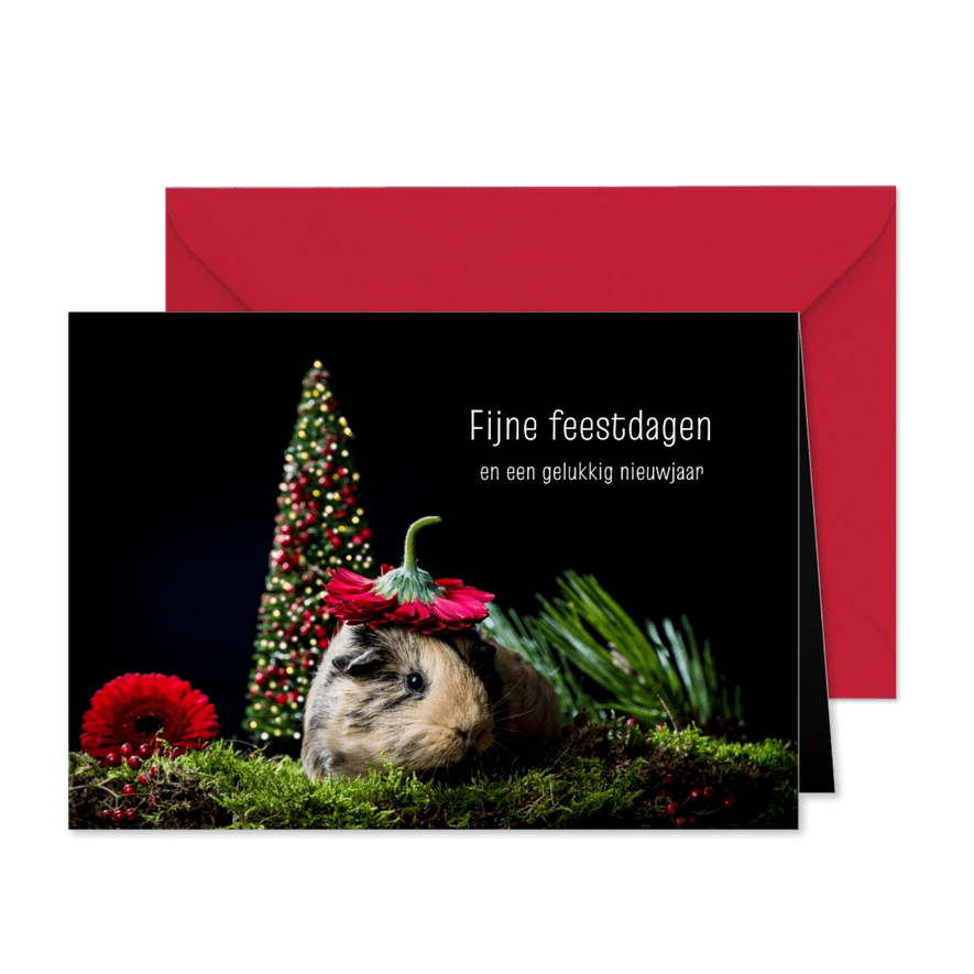 Kerstkaart cavia met kerstboom en bloem als kerstmuts - Kaartimpressie