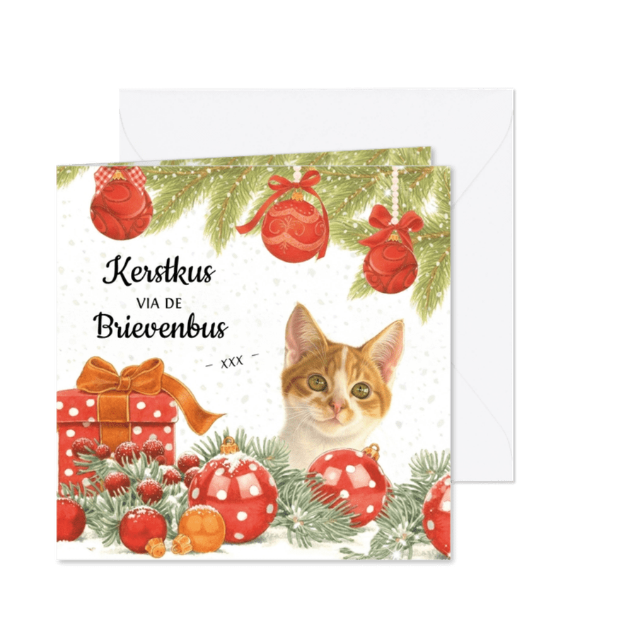 Kerstkaart door de brievenbus - Kaartimpressie