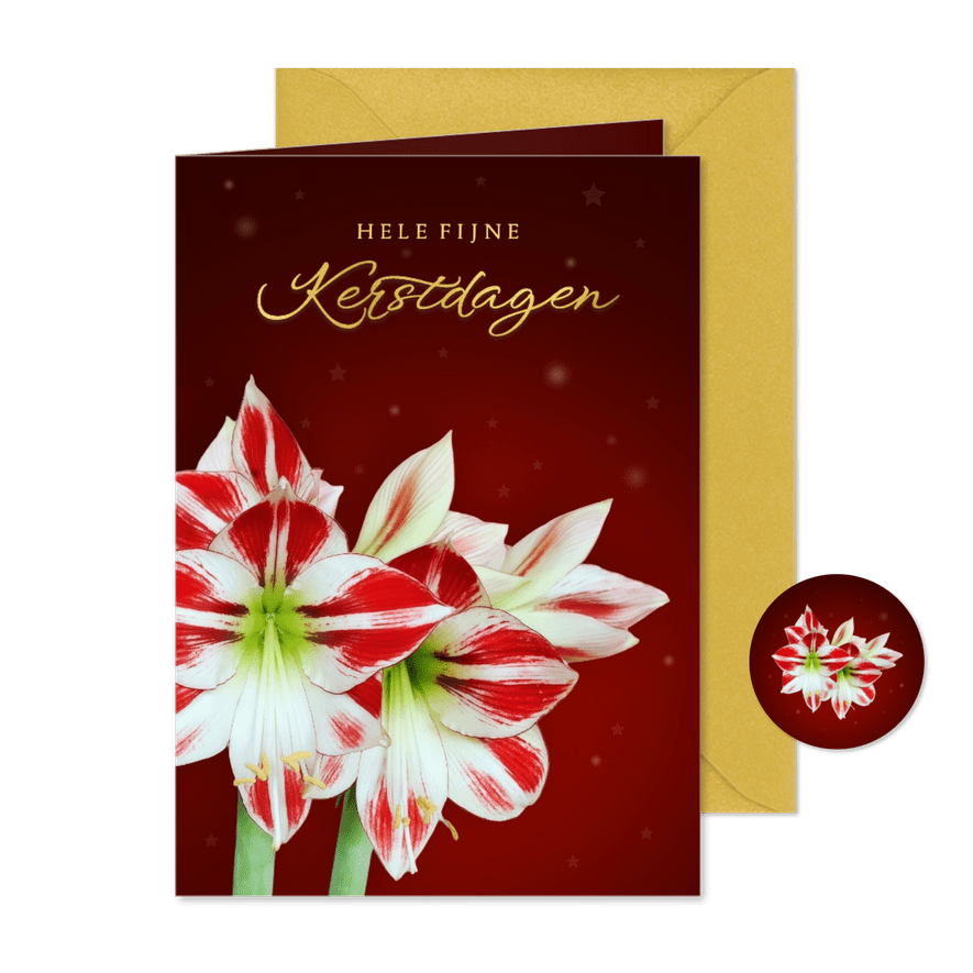 Kerstkaart fleurige amaryllis bloem - Kaartimpressie