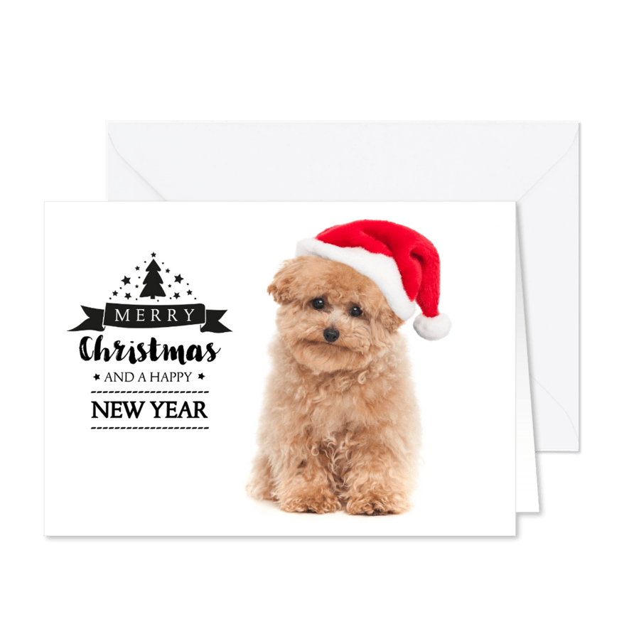 Kerstkaart hond Toy Poodle met kerstmuts - Kaartimpressie