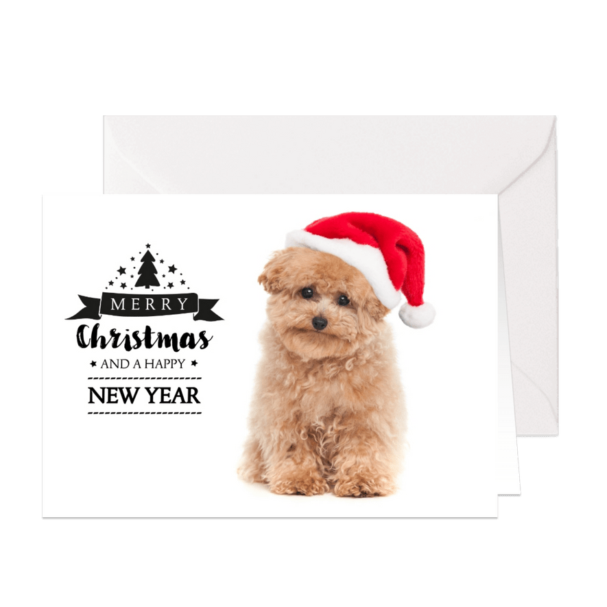 Kerstkaart hond Toy Poodle met kerstmuts - Kaartimpressie