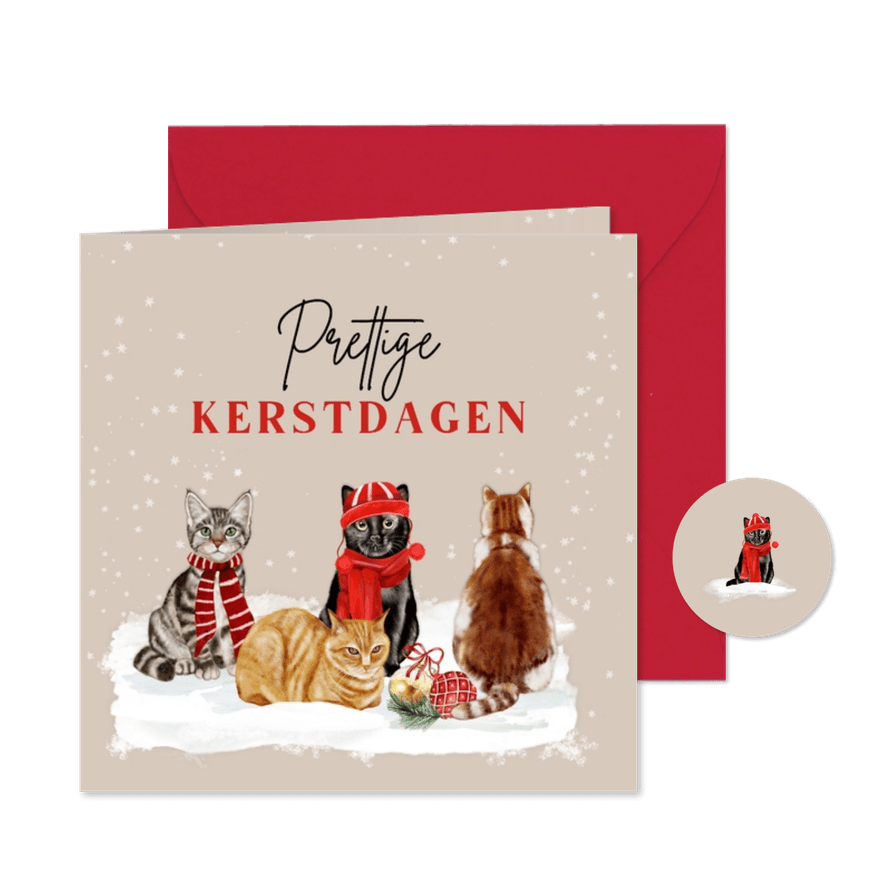 Kerstkaart katten in de sneeuw - Kaartimpressie