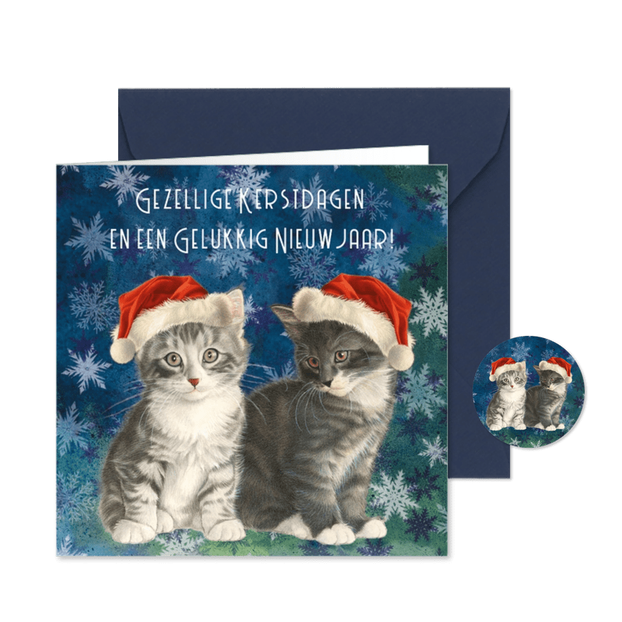 Kerstkaart kittens in blauw - Kaartimpressie