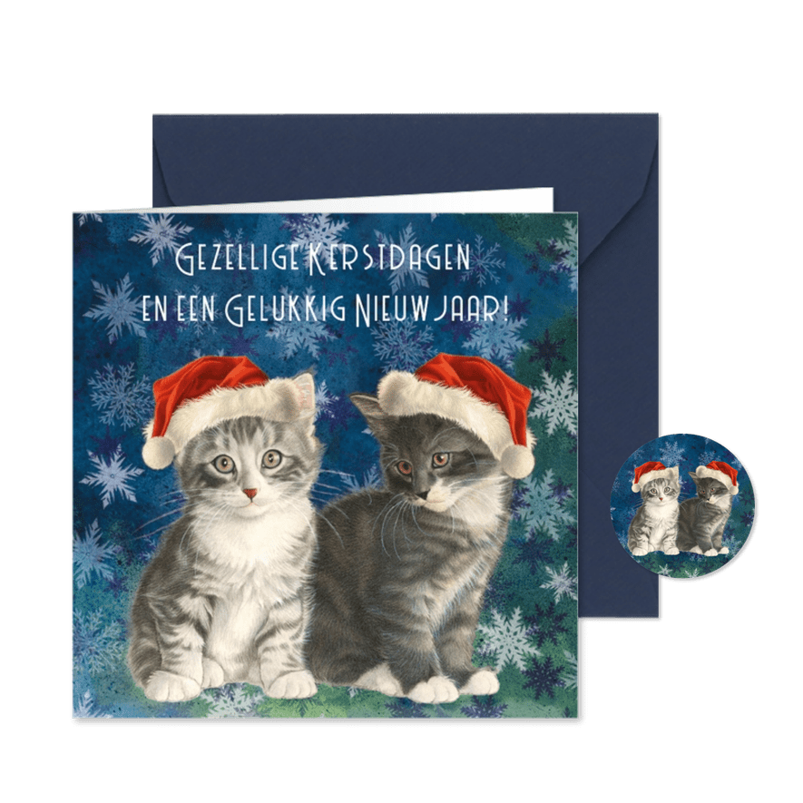 Kerstkaart kittens in blauw - Kaartimpressie