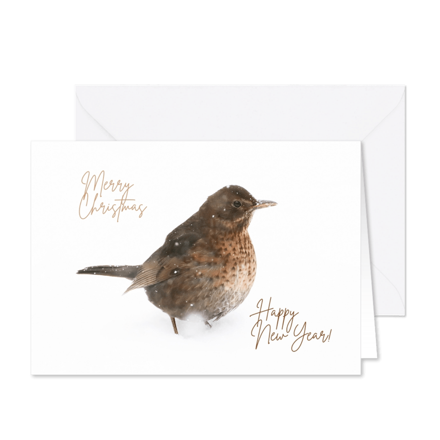 Kerstkaart merel in de sneeuw - Kaartimpressie