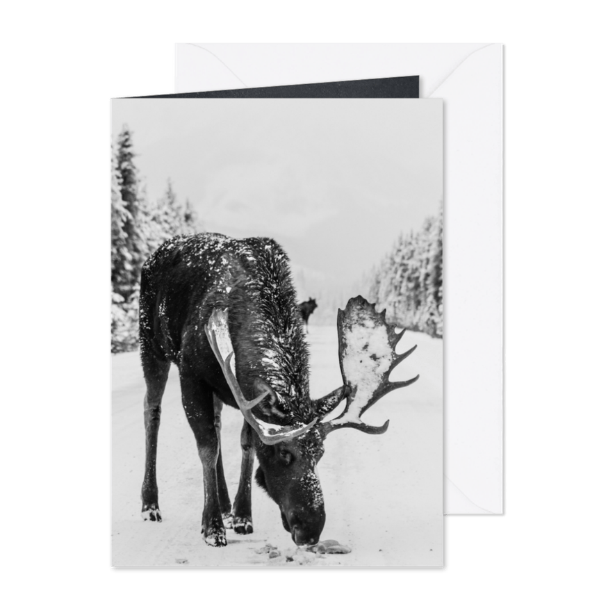 Kerstkaart met eland in de sneeuw - Kaartimpressie