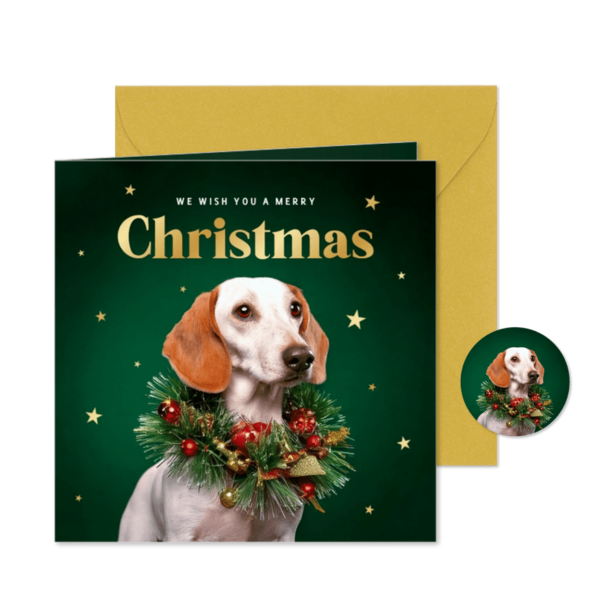 Kerstkaart met hond met kerstkrans en gouden sterretjes - Kaartimpressie