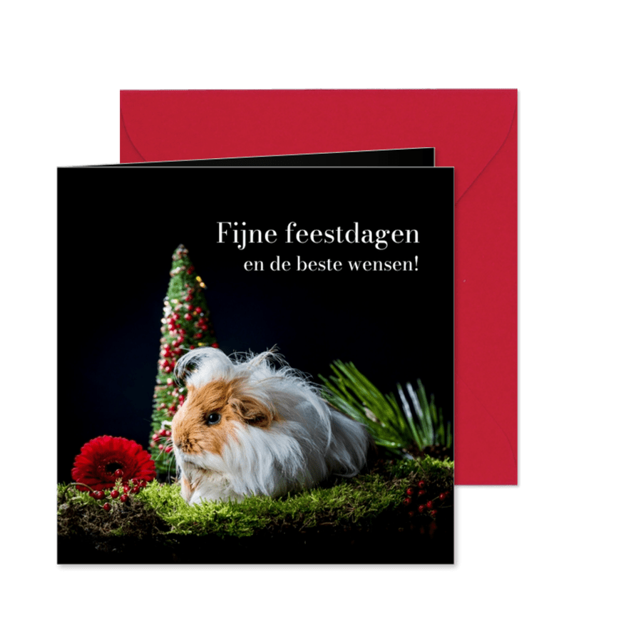 Kerstkaart met langharige cavia kerst - Kaartimpressie