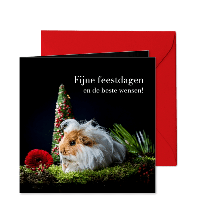 Kerstkaart met langharige cavia kerst - Kaartimpressie