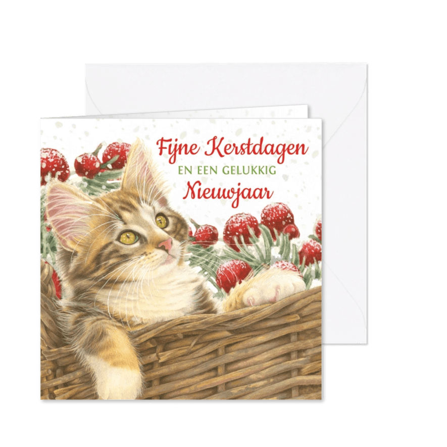 Kerstkaart met lieve kat in kerstmand - Kaartimpressie