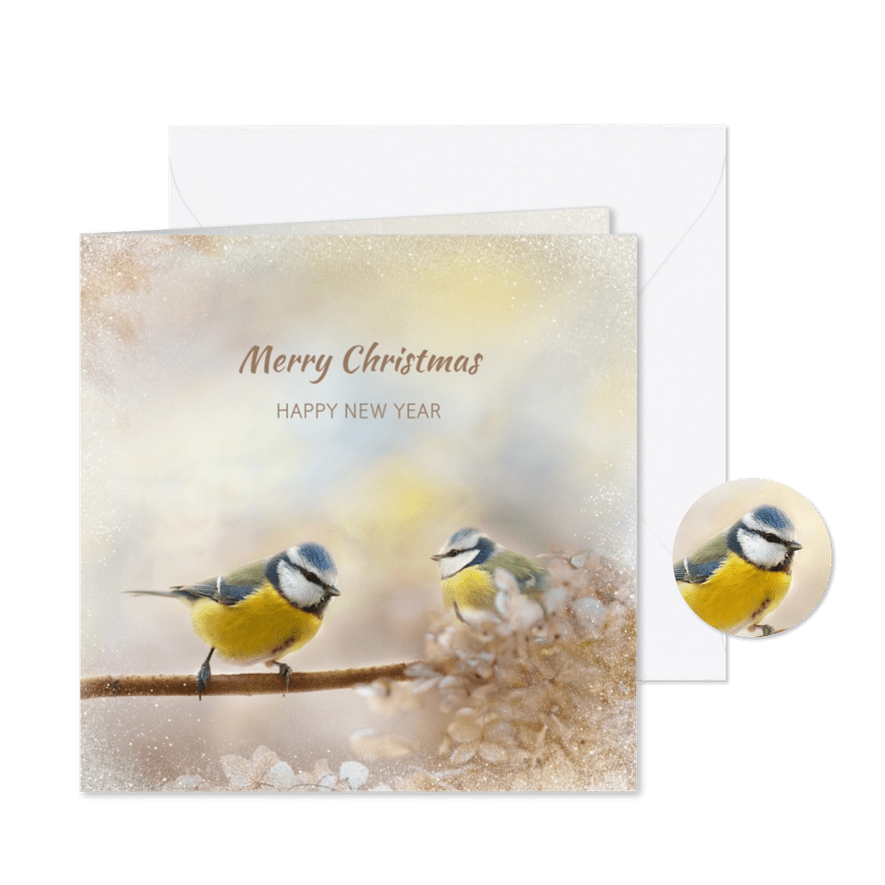 Kerstkaart met pimpelmezen - Kaartimpressie