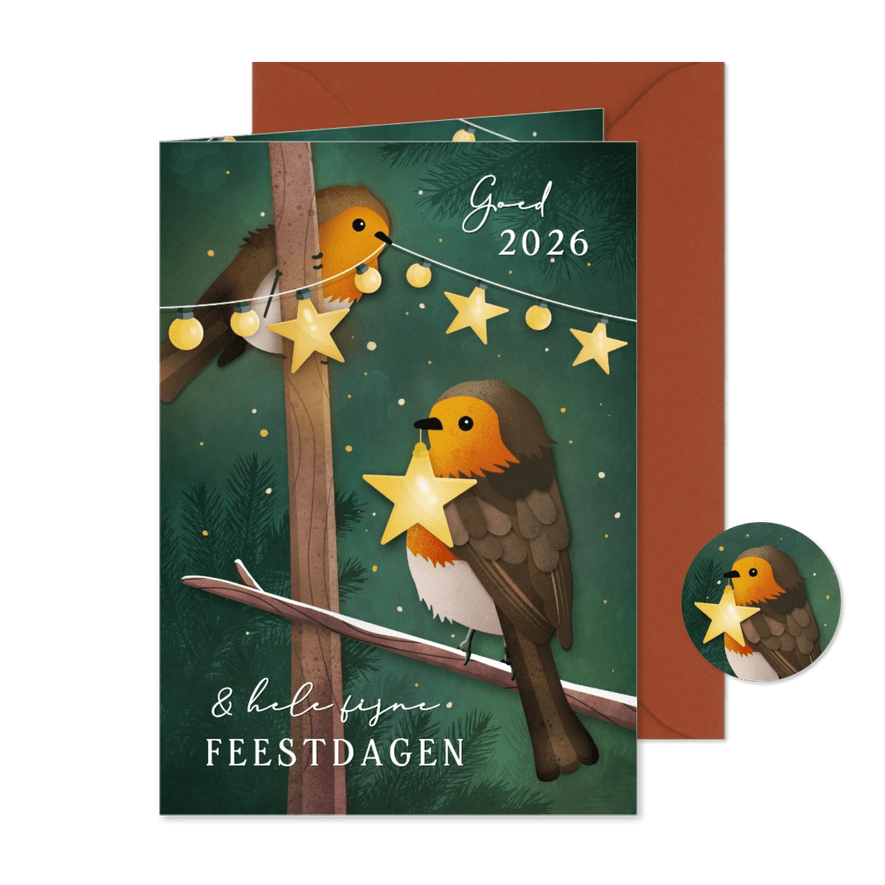 Kerstkaart met roodborstje en kerst lampjes - Kaartimpressie